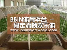 环境展示五