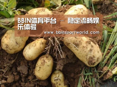 种植基地六