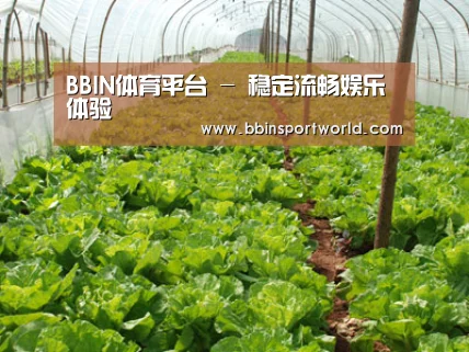 种植基地五